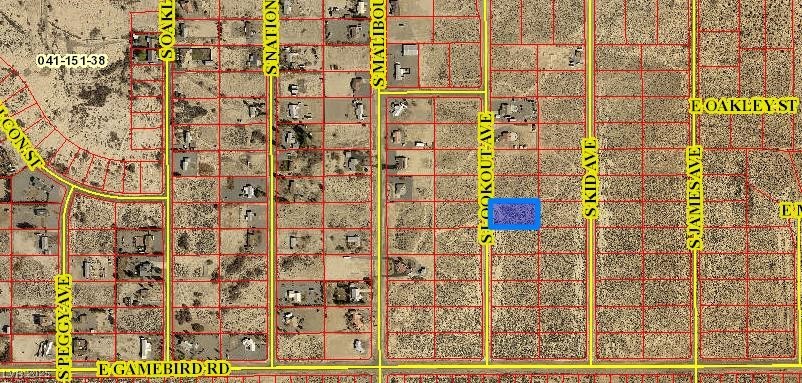 3831 South Lookout Avenue Pahrump NV 89048
