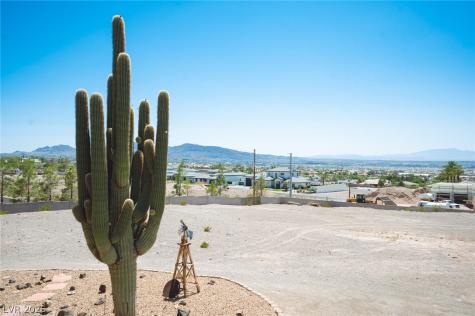 Henderson NV 89015