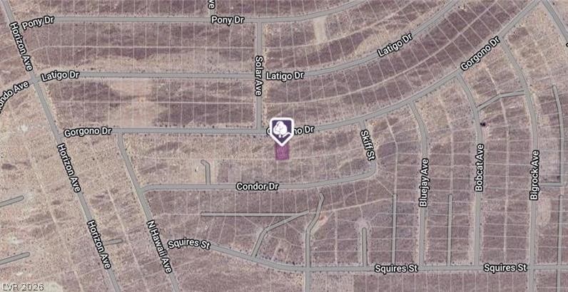 1481 Gorgono Drive Pahrump NV 89060