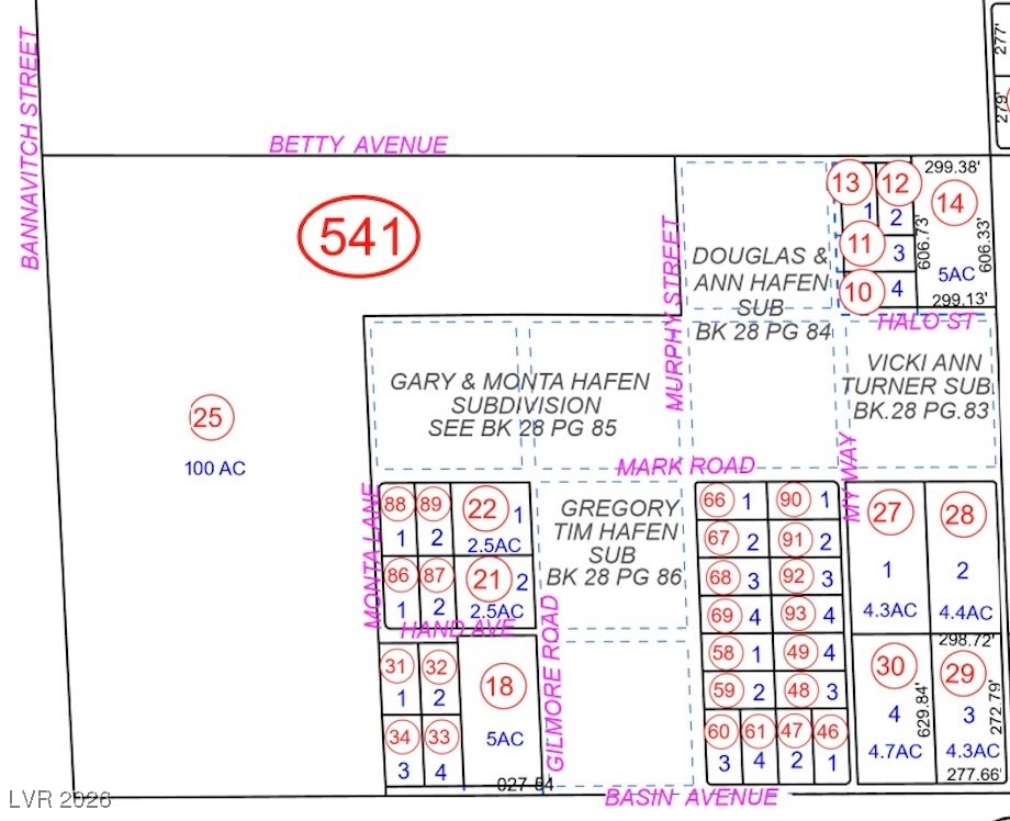 3751 West Betty Avenue Pahrump NV 89060