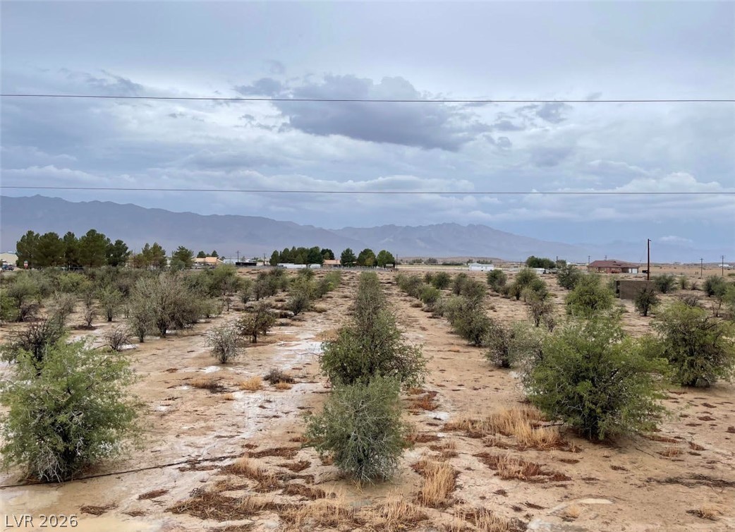 2680 Begonia Street Pahrump NV 89048