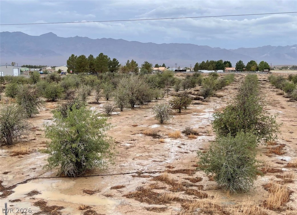 2680 Begonia Street Pahrump NV 89048