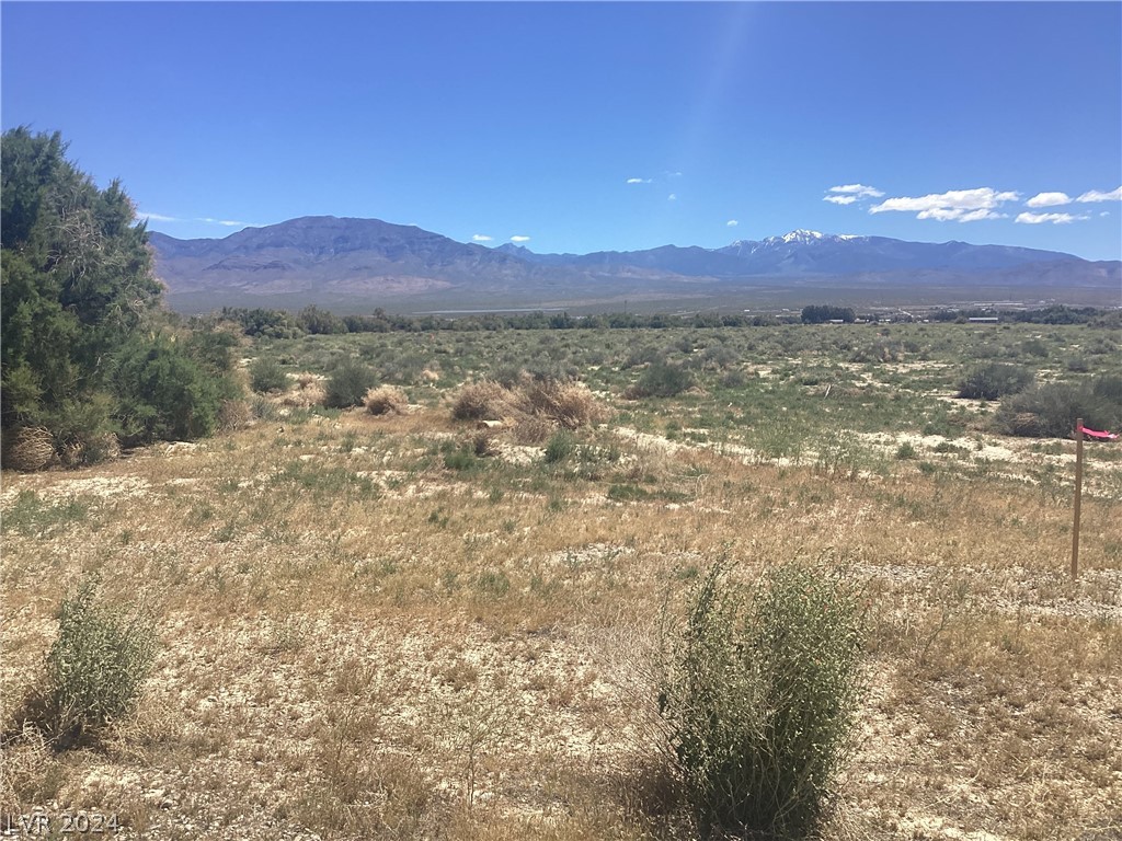 2611 North Del Mar Avenue Pahrump NV 89060
