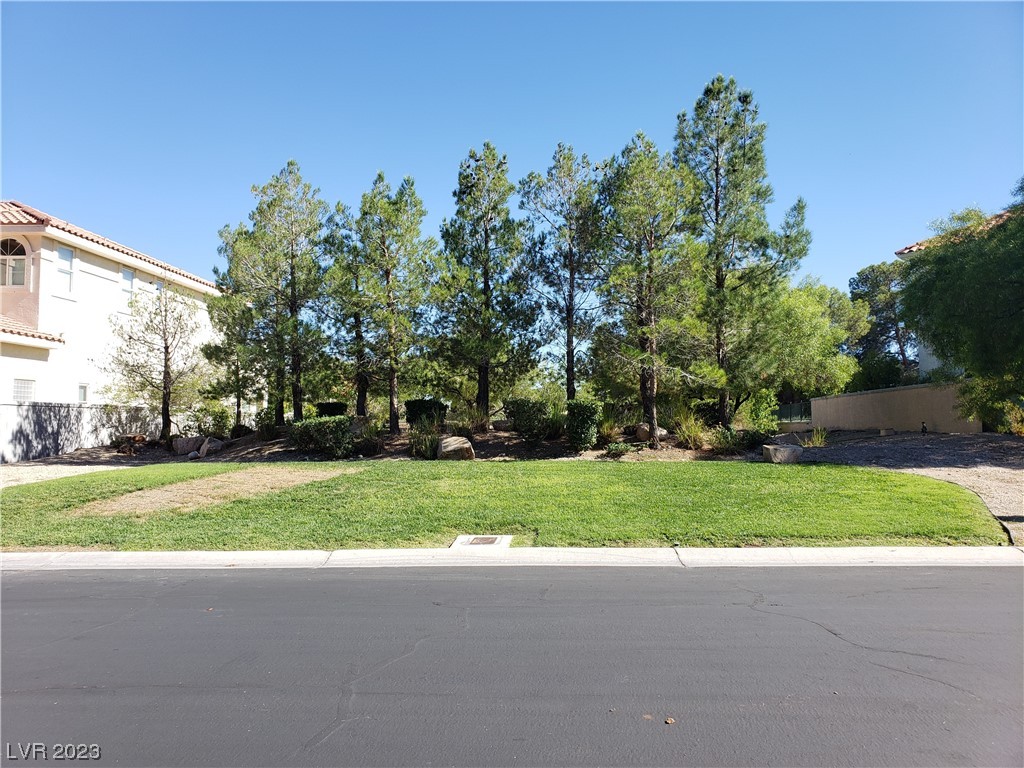 8721 Robinson Ridge Drive Las Vegas NV 89117