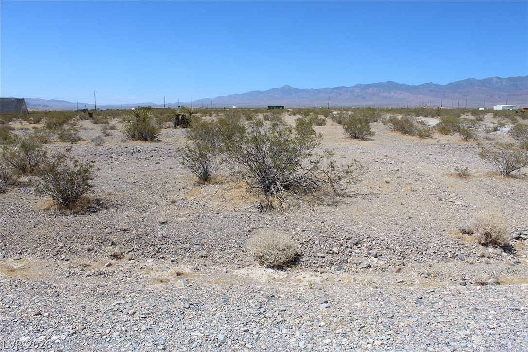 2470 East Lynn Way Pahrump NV 89060