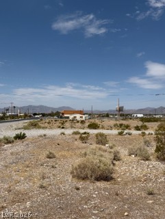 4161 South Homestead Road Pahrump NV 89061