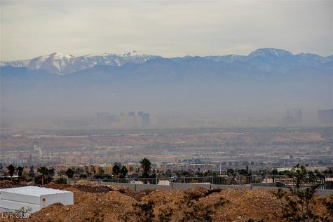 0 Parawan Henderson NV 89015