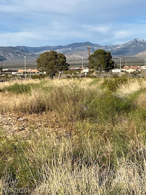 2300 East Ambush Street Pahrump NV 89048