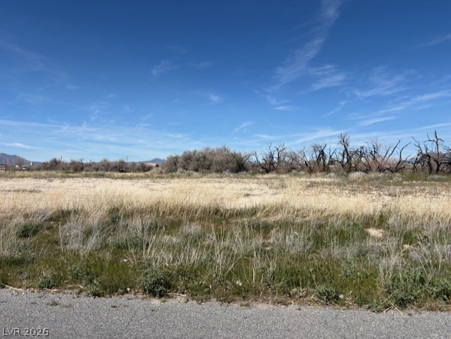 1780 South Xenia Avenue Pahrump NV 89048
