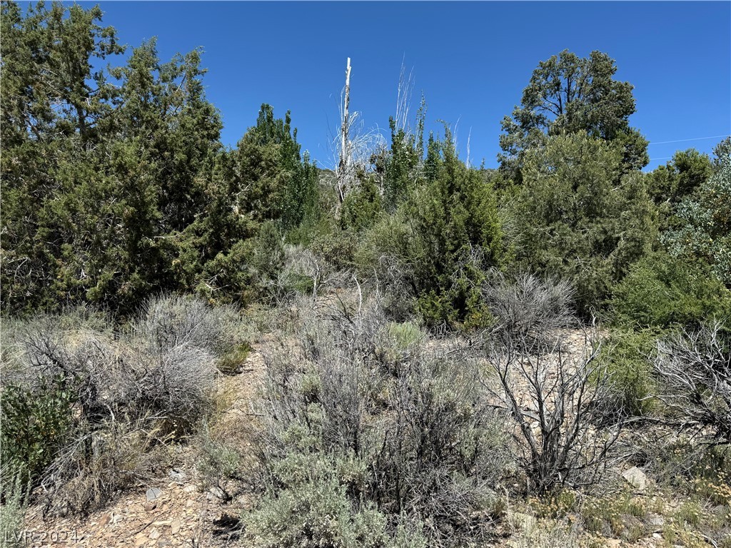North Troutcanyon Road Las Vegas NV 89124
