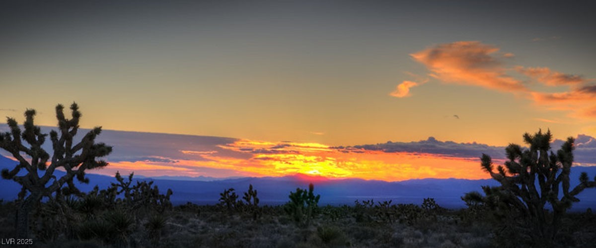 2201 Needles Avenue Pahrump NV 89048