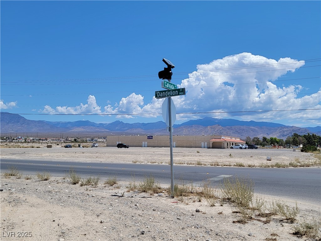 1810 South Dandelion Street Pahrump NV 89048