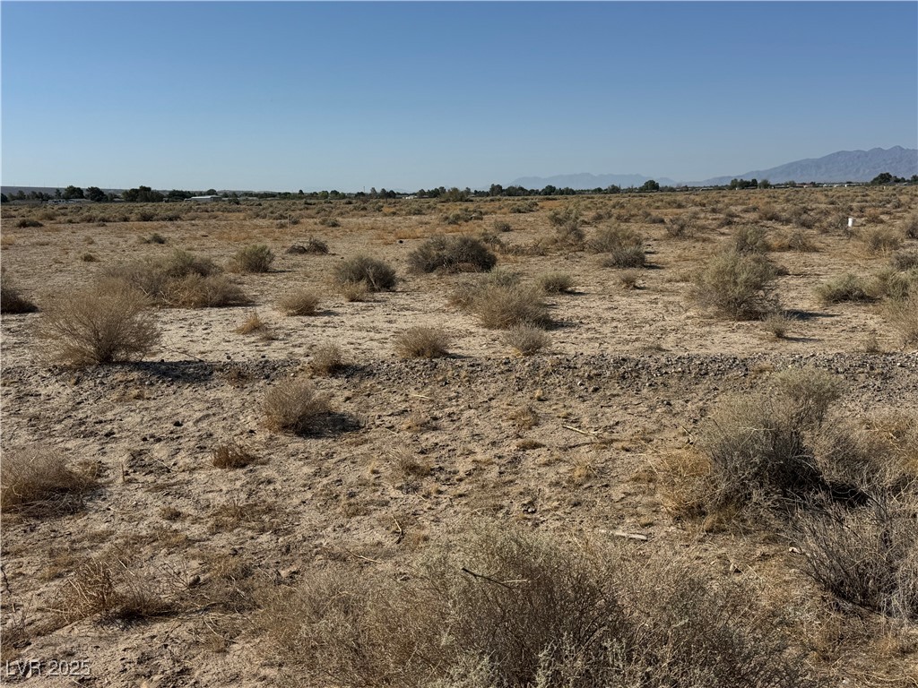 711 West Harvest Lane Pahrump NV 89060