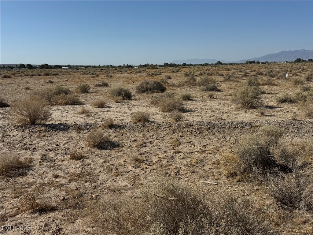 711 West Harvest Lane Pahrump NV 89060