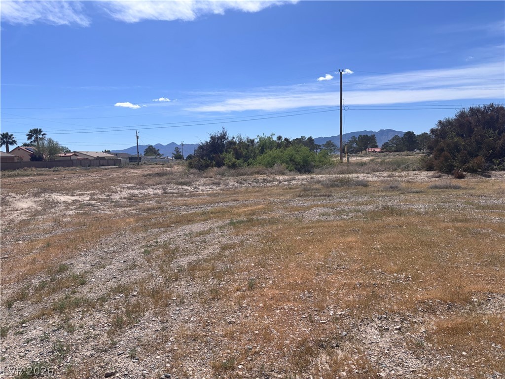 1401 South Saddle Court Pahrump NV 89048