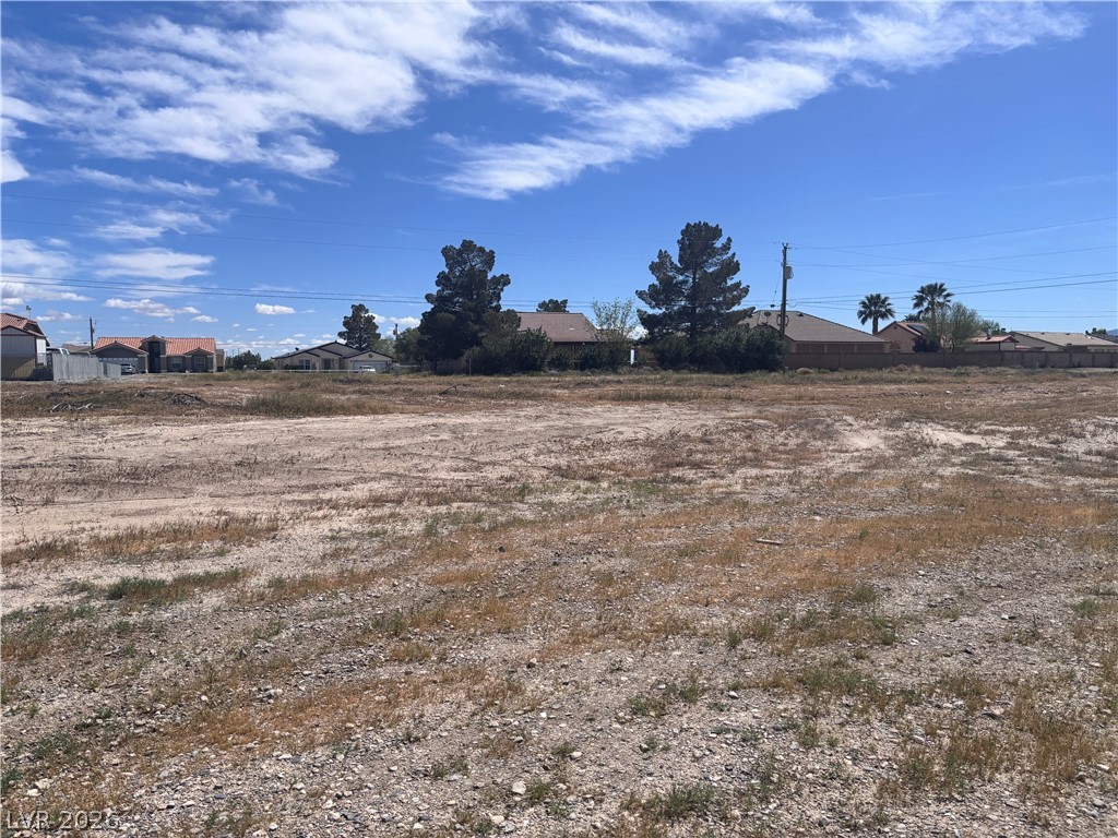 1401 South Saddle Court Pahrump NV 89048
