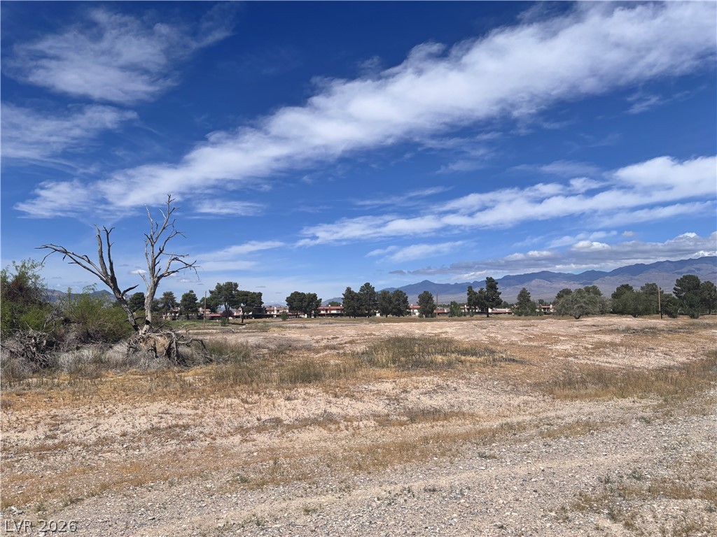 1401 South Saddle Court Pahrump NV 89048