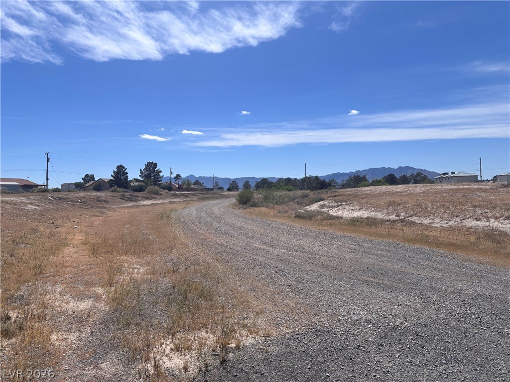 1401 South Saddle Court Pahrump NV 89048