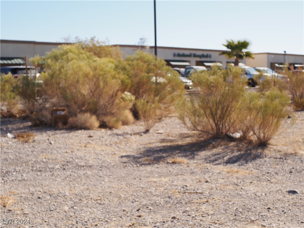1571 East Basin Avenue Pahrump NV 89060