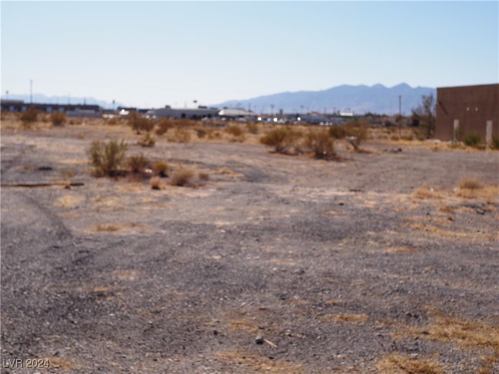 1571 East Basin Avenue Pahrump NV 89060