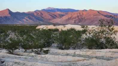 2221 South Zuni Avenue Pahrump NV 89048
