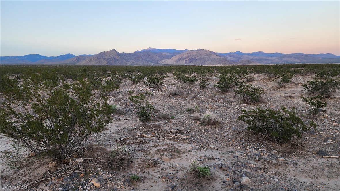 2221 South Zuni Avenue Pahrump NV 89048