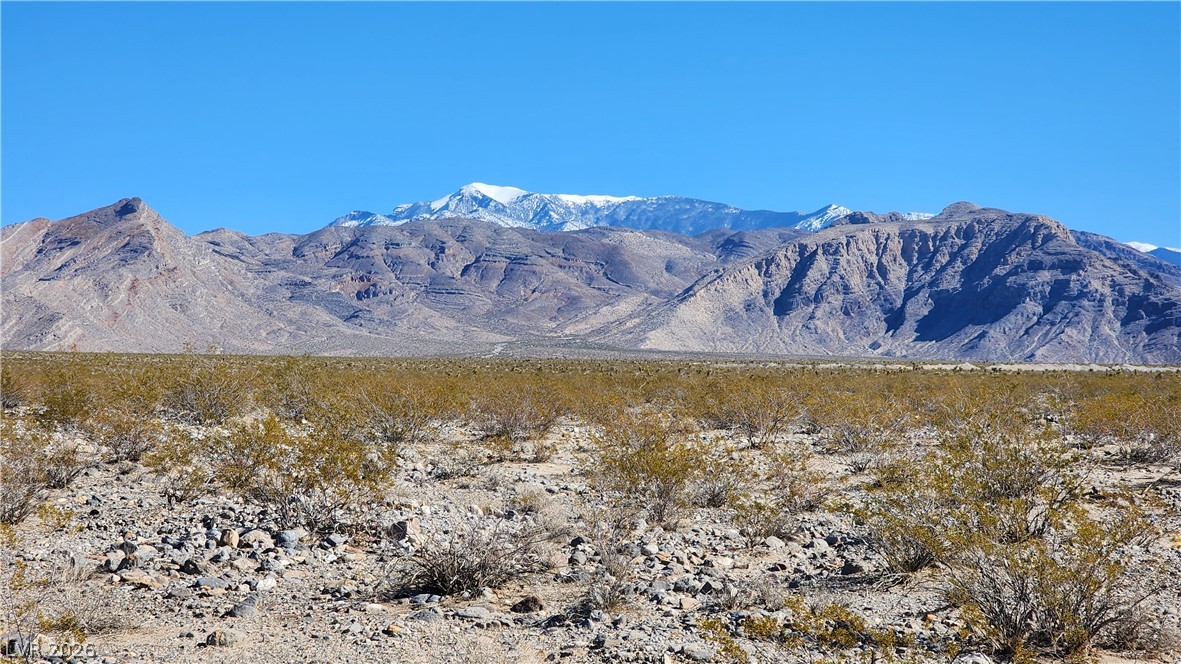 2221 South Zuni Avenue Pahrump NV 89048