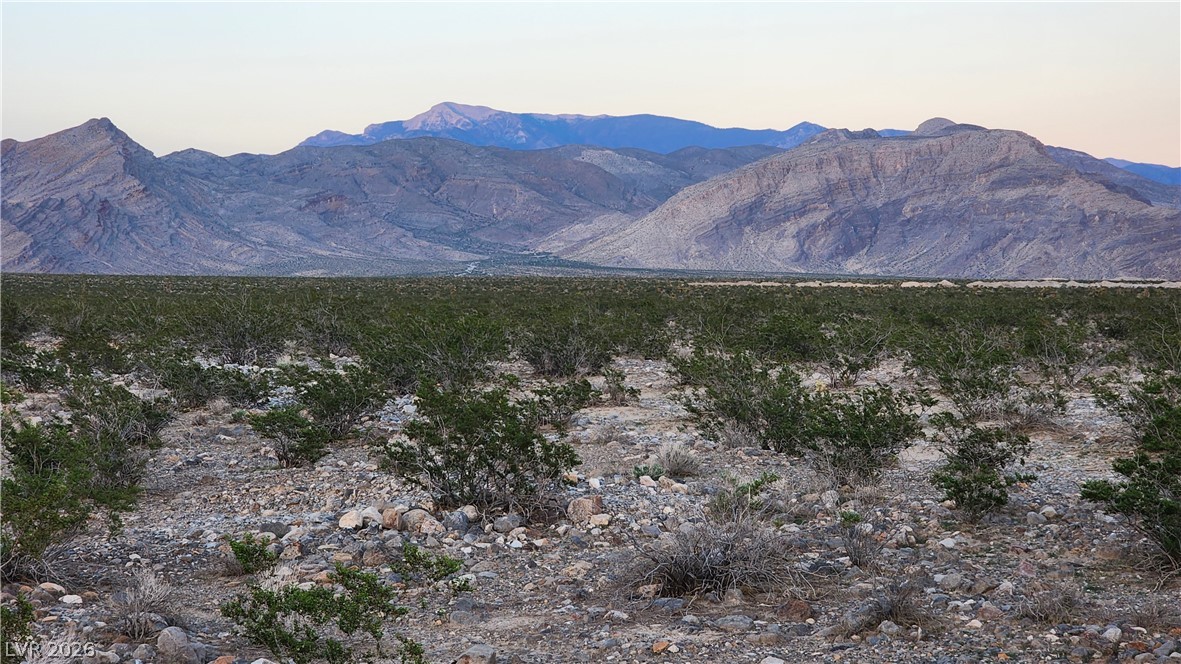 2221 South Zuni Avenue Pahrump NV 89048