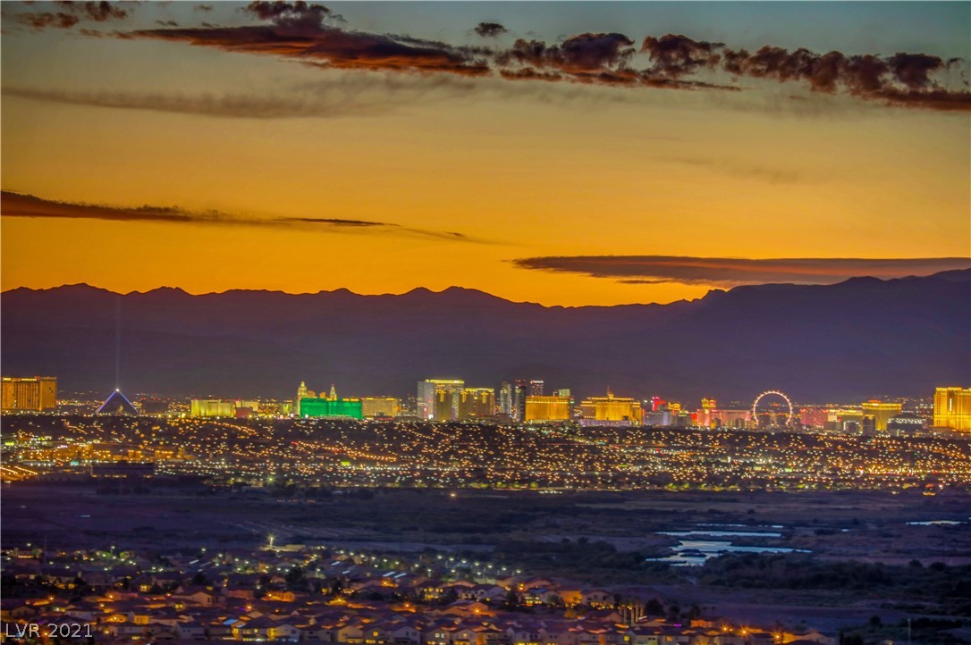 1005 Feather Point Court Henderson NV 89011