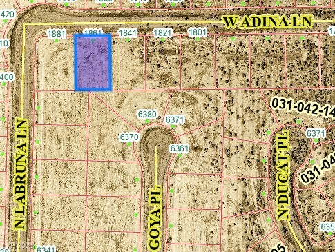 1861 West Adina Lane Pahrump NV 89060