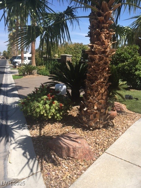 8175 Arville Street 193 Las Vegas NV 89139