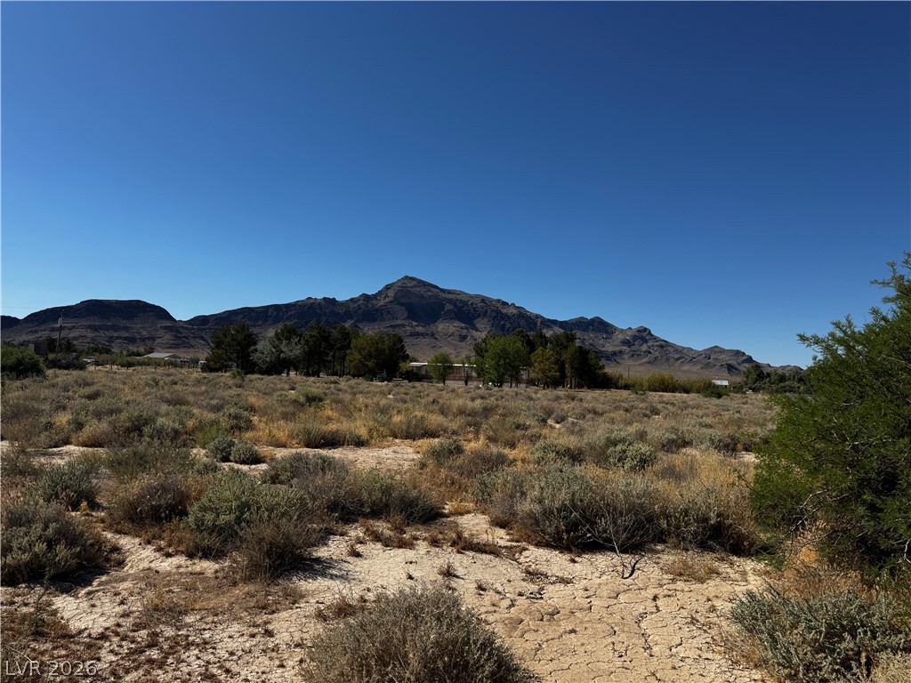 3560 North Barney Street Pahrump NV 89060