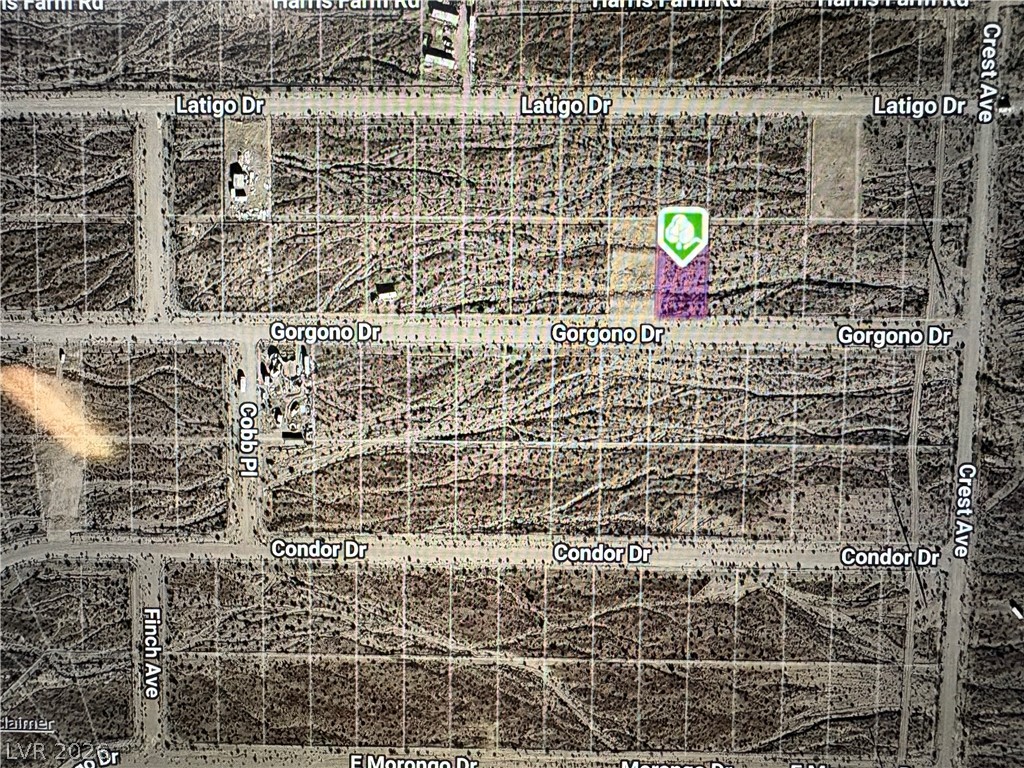 2880 Gorgono Drive Pahrump NV 89060