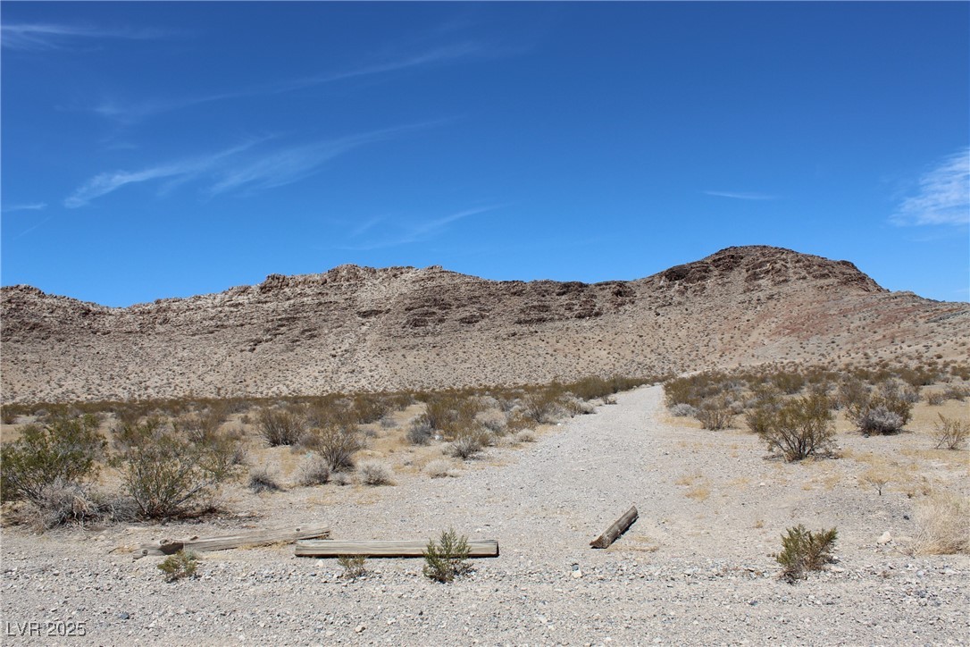 3311 North Warren Street Pahrump NV 89060