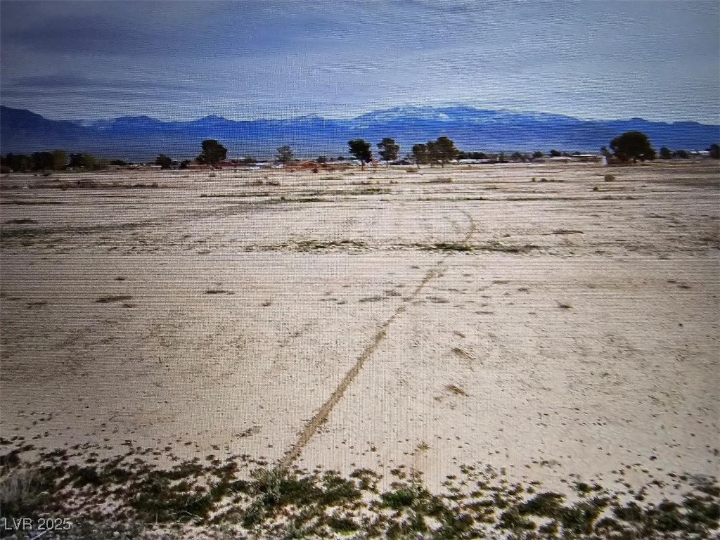 2011 South Zelzah Avenue Pahrump NV 89048