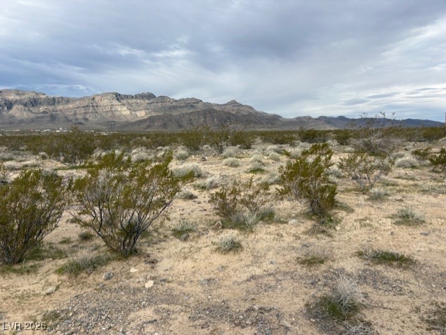 6850 North Blagg Road Pahrump NV 89060