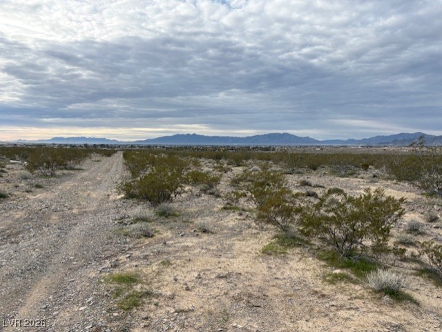 6850 North Blagg Road Pahrump NV 89060