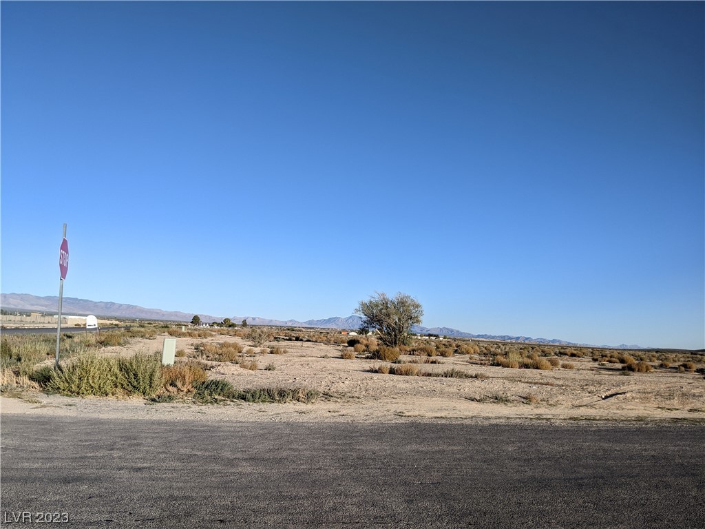 2541 East Silver Street Pahrump NV 89048