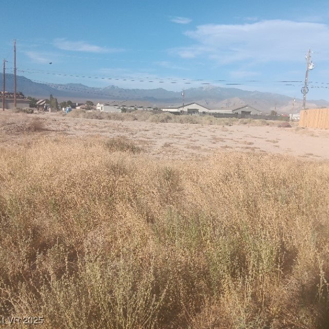 1771 Upland Avenue Pahrump NV 89048