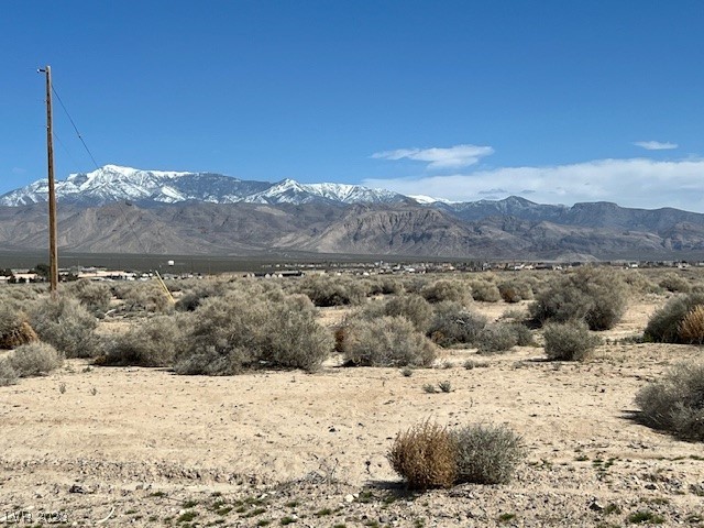 1390 East Elko Street Pahrump NV 89048