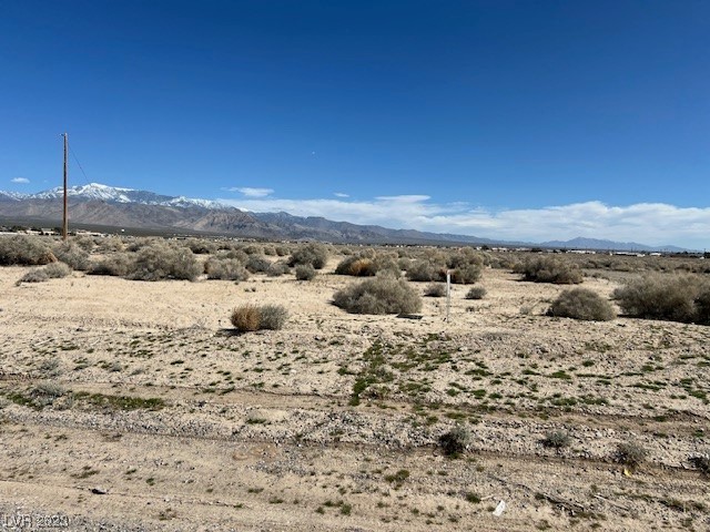 1390 East Elko Street Pahrump NV 89048