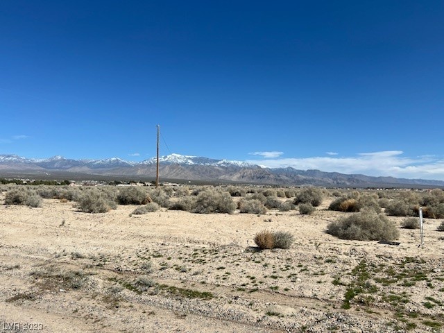 1390 East Elko Street Pahrump NV 89048
