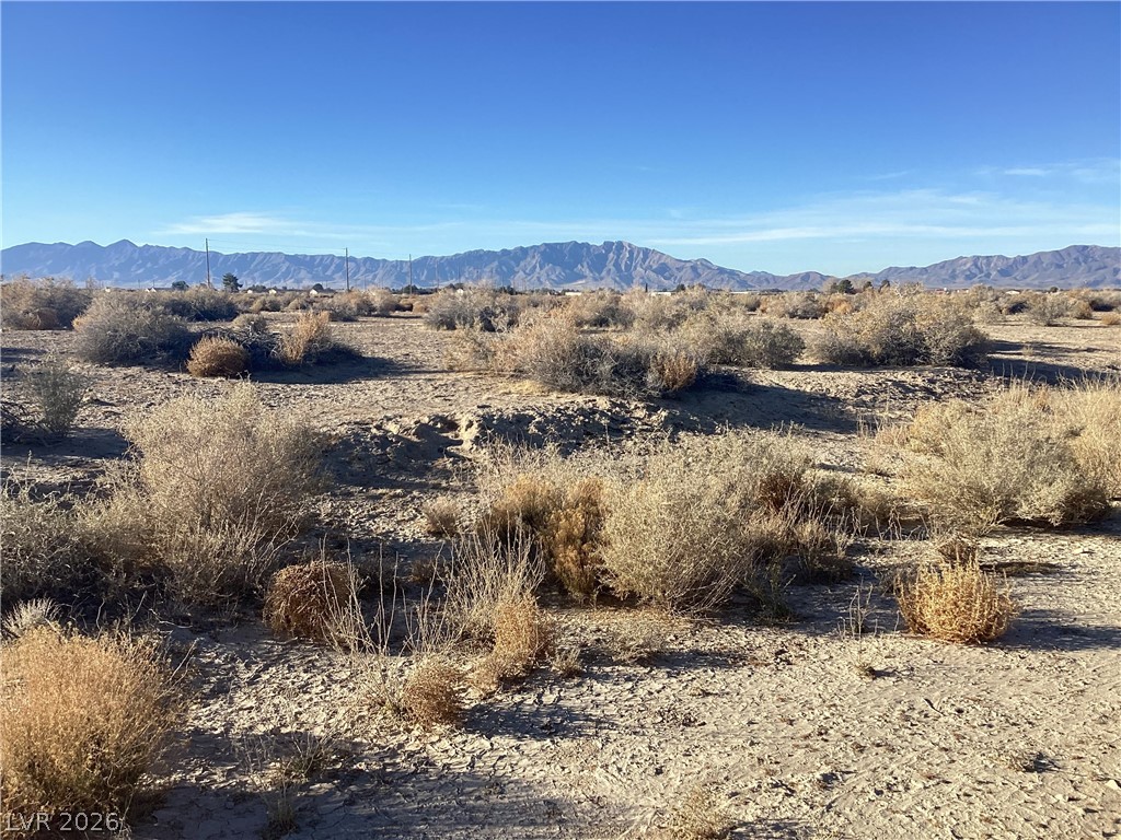 871 East Marfil Avenue Pahrump NV 89060