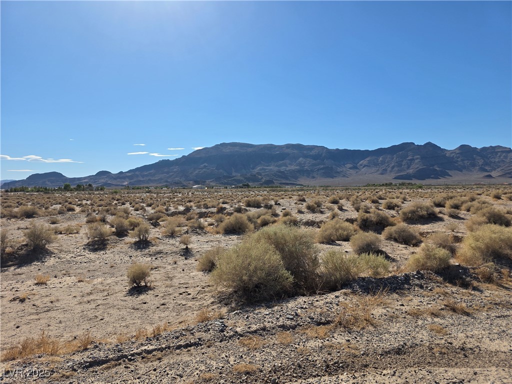 5150 North Timberland Drive Pahrump NV 89060