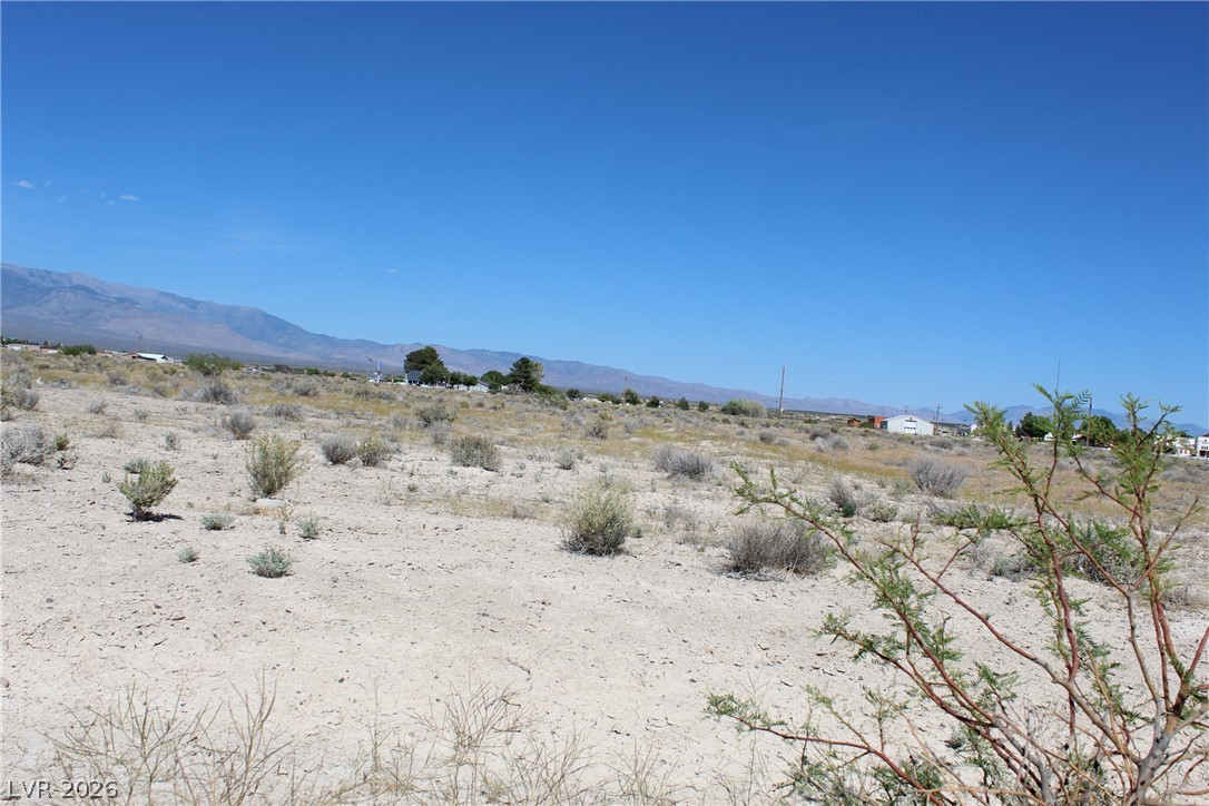 10091 South Robert Road Pahrump NV 89048