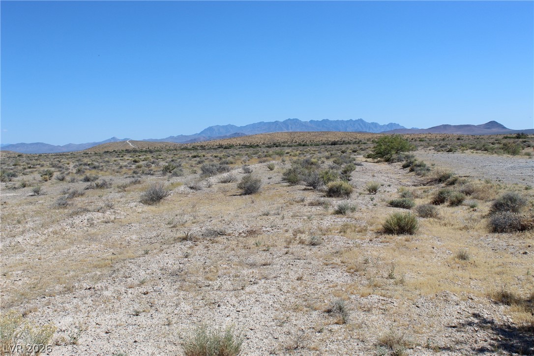 10091 South Robert Road Pahrump NV 89048