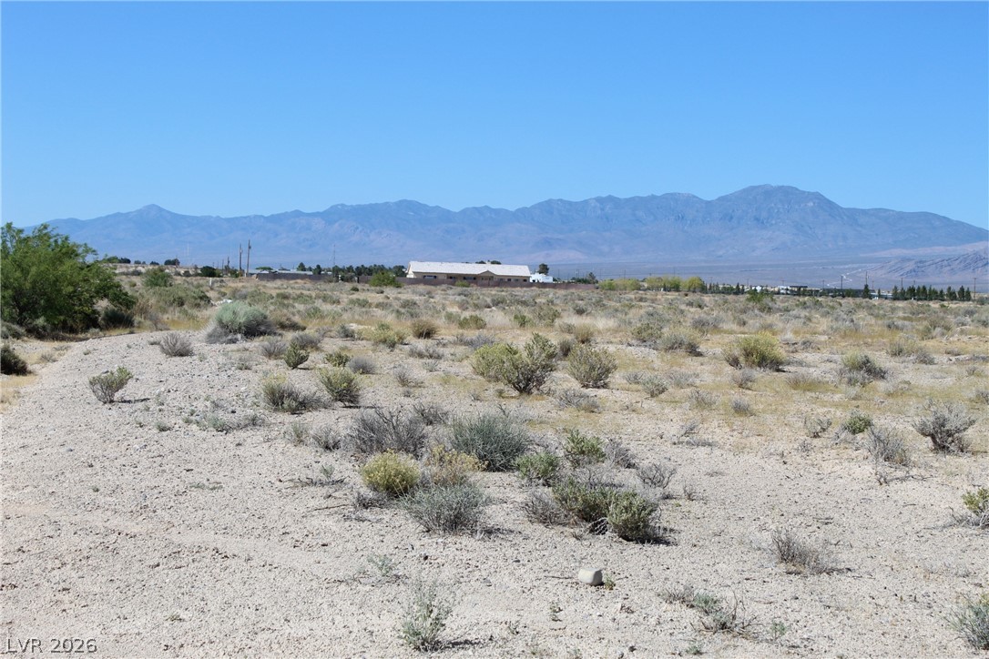10091 South Robert Road Pahrump NV 89048