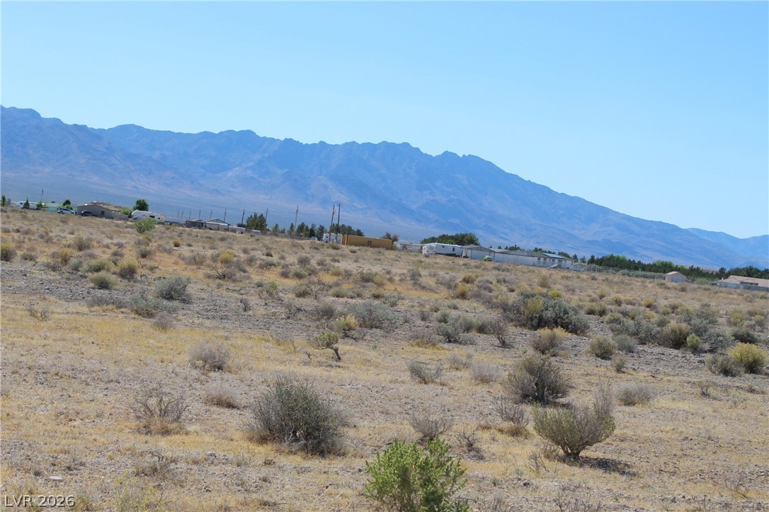 10091 South Robert Road Pahrump NV 89048
