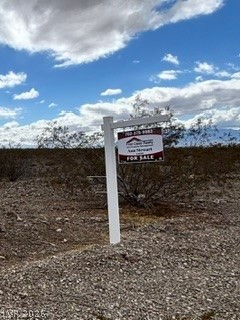 1541 Saguaro Lane 3 Pahrump NV 89060