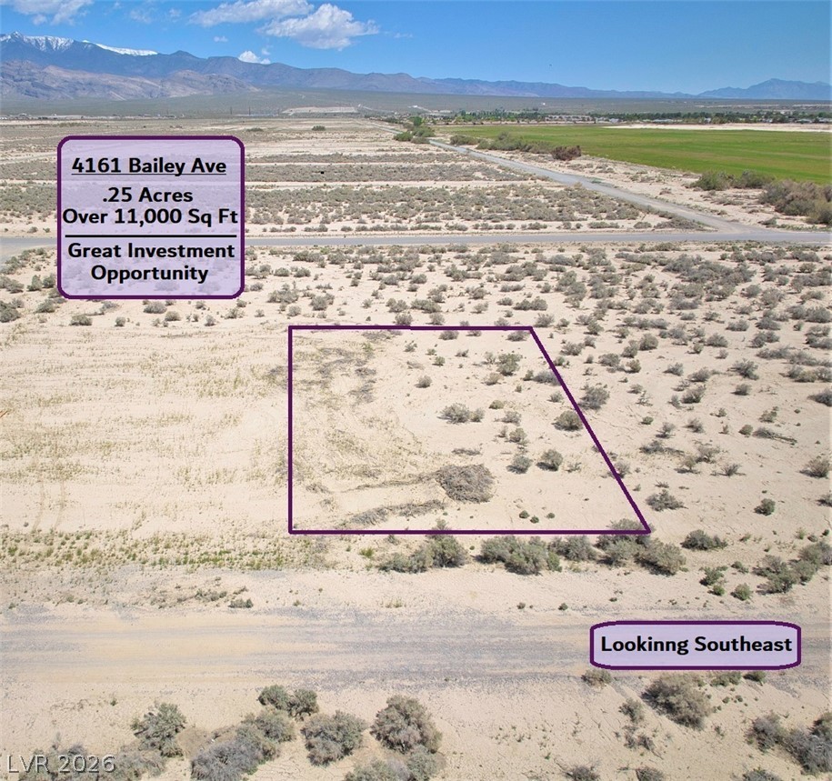 4161 South Bailey Avenue Pahrump NV 89048
